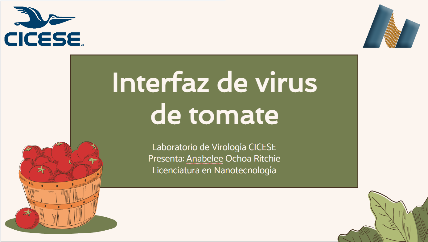 Proyecto 1